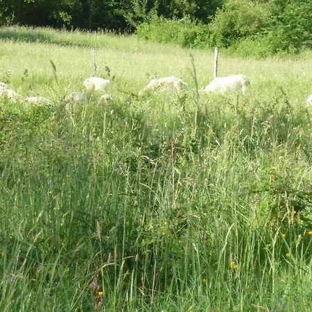La Lanterne Transition Ecologique Avec Borne De Recharge 7kw Site Sous Video Protection *